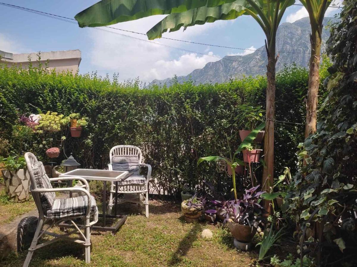 Apartman Art Kotor Exteriör bild