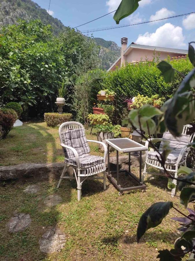 Apartman Art Kotor Exteriör bild